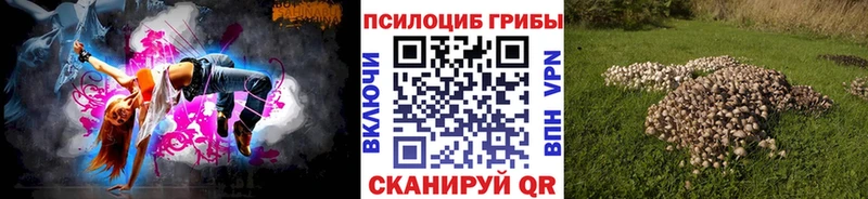 как найти закладки  Юрьев-Польский  Псилоцибиновые грибы Psilocybe 